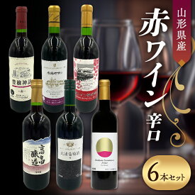 【ふるさと納税】 山形県産 赤ワイン 辛口 6本セット F2Y-3748