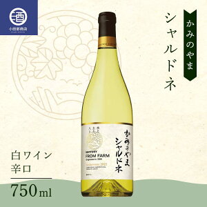 yӂ邳Ɣ[Łz ݂̂ Vhl C h Tg[ 750ml F2Y-3818