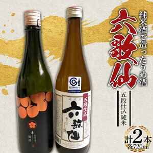 yӂ邳Ɣ[Łz Z̐ ĎőߎEܒid 720ml Zbg F2Y-4261