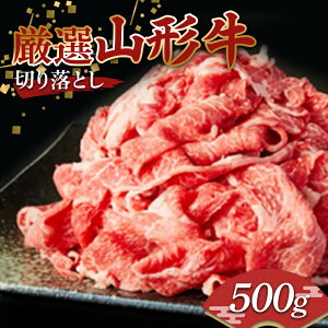 yӂ邳Ɣ[ŁzI R` ؂藎Ƃ 500g   a Y ɂ F2Y-3952