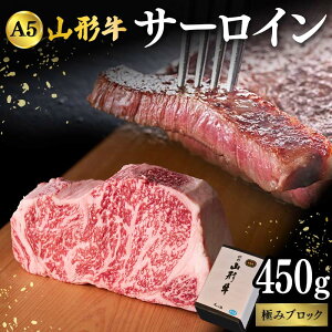 yӂ邳Ɣ[Łz R`A-5ŃuT[Cvɂ450gubN F2Y-4316