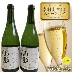 yӂ邳Ɣ[ŁzC Xp[NO h 750ml 2{ F2Y-4318