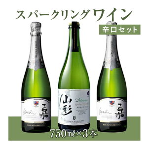 yӂ邳Ɣ[Łz y2025N12{ȍ~z Xp[NO hZbg F2Y-4355