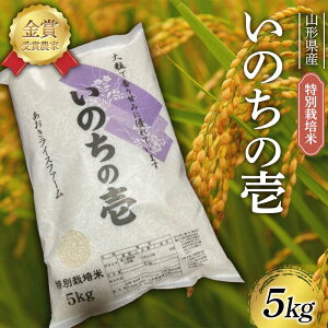 yӂ邳Ɣ[Łz ߘa7NY ʍ͔| ̂̈ 5kg F2Y-4482