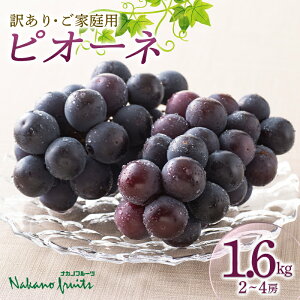 yӂ邳Ɣ[Łzyόʎzs2025Ns\tƒp R`Y 햳 Ԃǂ sI[l 1.6kg(2~4[) 2025N8{珇 F2Y-5456