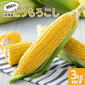 yӂ邳Ɣ[Łzyt@[z2025Ns\ _ƒ R`Y ̂ Ƃ낱 3kgi6`9 {j 2025N8{珇 Ƃ gELr gERV R[  Hi R