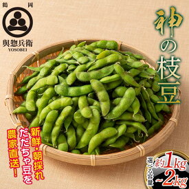 【ふるさと納税】 ≪2026年先行予約≫【與惣兵衛】山形県産 神の枝豆 だだちゃ豆 ≪選べる容量 約1kg～約2kg≫ 2026年8月上旬から順次発送 F2Y-5460var