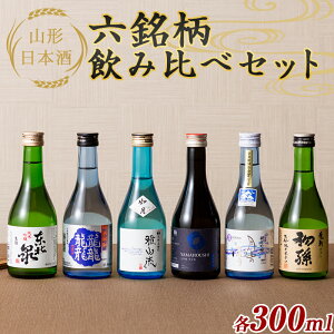 yӂ邳Ɣ[Łz R`{Zݔ׃Zbg e300ml F2Y-6300