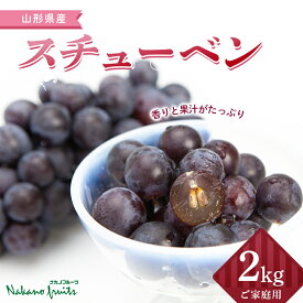 【ふるさと納税】 ≪2026年先行予約≫【仲野観光果樹園】ご家庭用 山形県産 スチューベン 2kg(6～13房) 種あり ぶどう 2026年9月上旬から順次発送 F2Y-5819