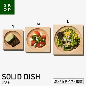 yӂ邳Ɣ[Łz yIׂTCYEzSKOP SOLID DISH (XRbv \bhfBbV) ui SEMELTCY^1E2 ؎M F2Y-5837var
