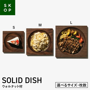 yӂ邳Ɣ[Łz yIׂTCYEzSKOP SOLID DISH (XRbv \bhfBbV) EHibg SEMELTCY^1E2 ؎M F2Y-5840var