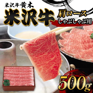 yӂ邳Ɣ[Łzyđ򋍉؁zđ򋍌[XԂԗp 500g F2Y-6009