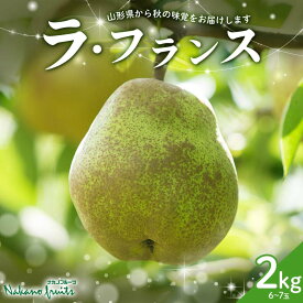 【ふるさと納税】≪2026年先行予約≫【仲野観光果樹園】贈答用 山形県産 西洋梨 ラ・フランス 2kg (6～7玉) 秀品 2026年11月中旬から順次発送 F2Y-6110