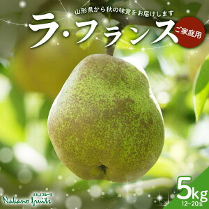 yӂ邳Ɣ[Łzyόʎz2025Ns\₲ƒp R`Y m EtX 5kg (12`20) 2025N11{珇 F2Y-6112