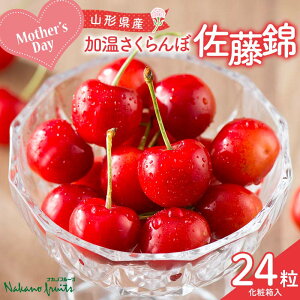 �y�ӂ邳�Ɣ[�Łz�y����ό��ʎ����z��2026�N��s�\���5��10����̓� �����p �R�`���Y ������������ ������ 24�� ���ϔ��� 2026�N5����{���珇������ F2Y-6121