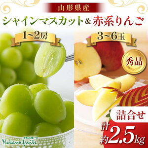 yӂ邳Ɣ[Łzyόʎz2025Ns\②p R`Y VC}XJbg  l 2.5kg Gi 2025N10{珇 F2Y-6140