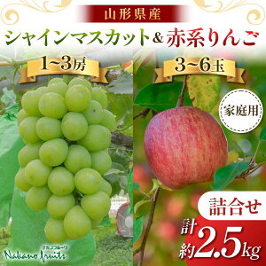 yӂ邳Ɣ[Łzyόʎz2025Ns\₲ƒp R`Y VC}XJbg  l 2.5kg 2025N10{珇 F2Y-6141