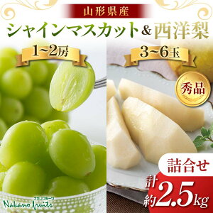 yӂ邳Ɣ[Łzyόʎz2025Ns\②p R`Y VC}XJbg m l 2.5kg Gi 2025N9{珇 F2Y-6142
