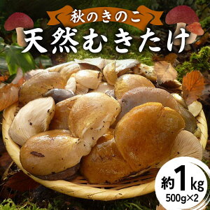 yӂ邳Ɣ[ŁzĤ̂ VRނ 1kgi500g×2܁j F2Y-6171