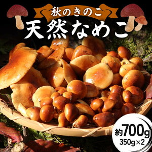 yӂ邳Ɣ[ŁzĤ̂ VRȂ߂ 700gi350g×2܁j F2Y-6172
