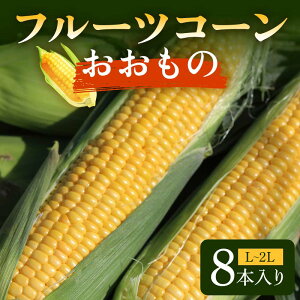 �y�ӂ邳�Ɣ[�Łz �t���[�c�R�[�� �������� L�`2L 8�{���� F2Y-6176