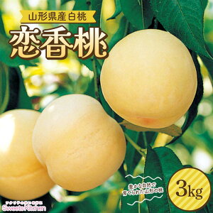 【ふるさと納税】 ≪2026年先行予約≫【スイーツキッチン】山形県産 白桃 恋香桃(れんかとう) 約3kg(12〜16玉前後) 硬め 2026年7月中旬から順次発送 F2Y-6280