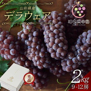 yӂ邳Ɣ[Łz 2026Ns\yǉʎzp R`Y 햳Ԃǂ fEFA yIׂeʁz1kg(5`6[)^2kg(9`12[) Gi  2026N7{珇 F2Y-6511var