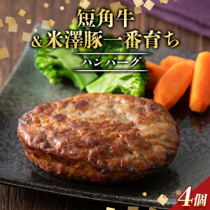 �y�ӂ邳�Ɣ[�Łz �R�`���Y�Z�p�������V�؈�Ԉ炿�n���o�[�O4�Z�b�g�i100g×4�j����400g F2Y-6539