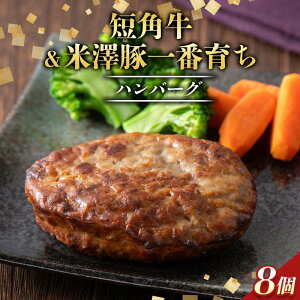 �y�ӂ邳�Ɣ[�Łz �R�`���Y�Z�p�������V�؈�Ԉ炿�n���o�[�O8�Z�b�g�i100g×8�j����800g F2Y-6540