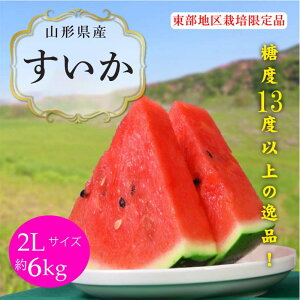 yӂ邳Ɣ[Łz s2026NYsttR`YyEz 2L 6kg XCJ  Z fU[g t[c ʕ  ʎ Hi R` FSY-0012