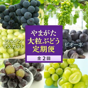yӂ邳Ɣ[Łzs2025Ns\t܂嗱ԂǂցiS2j Ԃǂ uhE  fU[g t[c ʕ  ʎ Hi R` FSY-0105