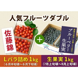【ふるさと納税】 《先行予約 2026年度発送》山形人気フルーツダブル（さくらんぼ佐藤錦秀品Lサイズ1kg &ブルーベリー生果実1kg） FSY-2343