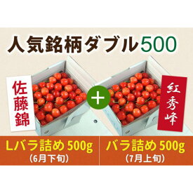 【ふるさと納税】《先行予約 2024年度発送》【頒布会】さくらんぼ人気銘柄ダブル500(佐藤錦&紅秀峰) FSY-0155