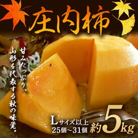 【ふるさと納税】《先行予約 令和6年度産》庄内柿 約5kg Lサイズ以上 FSY-0182