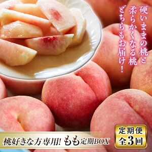 yӂ邳Ɣ[Łz ss\ 2026Nt`Dȕp`BOXyS3z    fU[g t[c ʕ  ʎ Hi R` FSY-2451