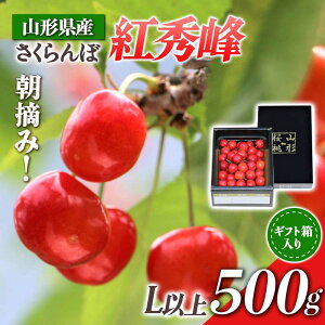 yӂ邳Ɣ[Łz yst ߘa8NxzR`Y E݂ gG500g Mtg FSY-0346