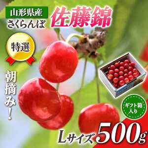 yӂ邳Ɣ[Łz yst ߘa8NxzR`Y E݂ړI500g Mtg FSY-0347