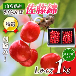 yӂ邳Ɣ[Łz yst ߘa8NxzR`Y E݂ I1kg Mtg FSY-0348