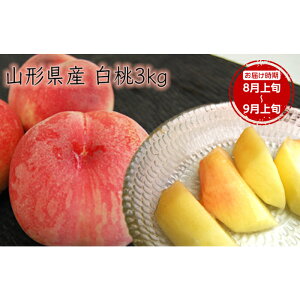 【ふるさと納税】《先行予約 2026年度発送》【山形県産】白桃3kg(7〜12玉) もも モモ 桃 デザート フルーツ 果物 くだもの 果実 食品 山形県 FSY-0385