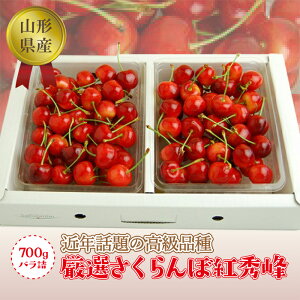 yӂ邳Ɣ[Łz s2026NxtyR`YzڍgG700goliGiLTCYȏj FSY-0759