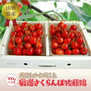 yӂ邳Ɣ[Łz s2026NxtyR`Yzڍ700goliGiLTCYȏj FSY-1290