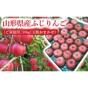 �y�ӂ邳�Ɣ[�Łz �s2025�N�x�����t�y���ƒ�p�z�R�`���Y�̃T���ӂ����10kg�i�ʐ����܂����j ��� �����S �ь� �f�U�[�g �t���[�c �ʕ� �������� �ʎ� �H�i �R�`�� FSY-0409