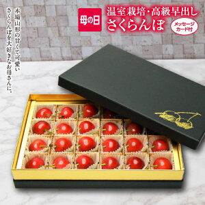 �y�ӂ邳�Ɣ[�Łz�s��s�\�� 2026�N�x�����t��̓� �R�`�������� ������ ���G�i L�T�C�Y 24�� �`���R�� ���b�Z�[�W�J�[�h�t FSY-2211