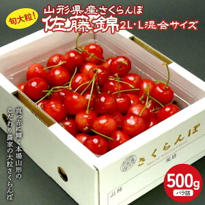 �y�ӂ邳�Ɣ[�Łz�s��s�\��2026�N�x�����t�{�嗱 �R�`�Y�������� ������ 2L�EL�����T�C�Y 500g �o���l �G�i FSY-0418