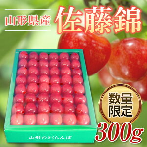 �y�ӂ邳�Ɣ[�Łz�s��s�\�� 2026�N�x�����t��������R�`�������ڍ�����L300g��l�y5�����{�`6����{�����z FSY-0419