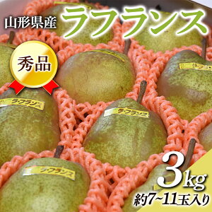 yӂ邳Ɣ[Łz R`Y Gi EtX 3kg Ȃ iV  fU[g t[c ʕ  ʎ Hi R` FSY-0454