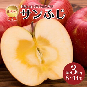 yӂ邳Ɣ[Łzss\ 2025NxtTӂ 3kg 8~14  S ь fU[g t[c ʕ  ʎ Hi R` FSY-0516