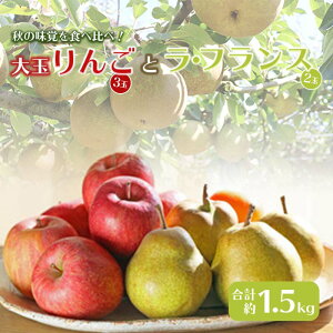 yӂ邳Ɣ[Łzss\ 2025NxtʃS 3 EtX 2 1.5kg  S ь fU[g t[c ʕ  ʎ Hi R` FSY-0517
