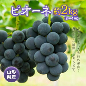 yӂ邳Ɣ[Łzss\ 2025NxtsI[l2kg(3`4[) Ԃǂ uhE  fU[g t[c ʕ  ʎ Hi R` FSY-0526