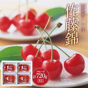 yӂ邳Ɣ[Łz s2026Ns\t  Gi 180g×4pbN LTCYȏ FSY-0561